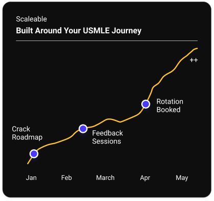 Built Around Your USMLE Journey — Scalable roadmap chart
